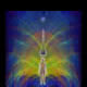 Nectar of Bliss